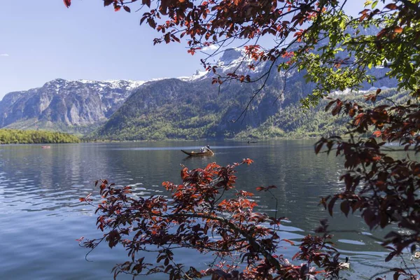 Branches Trees Reddish Leaves See Lake Mountains — Stock Photo, Image