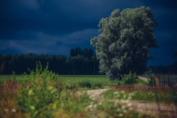 Egy Zöld Egy Völgyben Vidéken Egy Sötét Sötét Napon — Stock Fotó