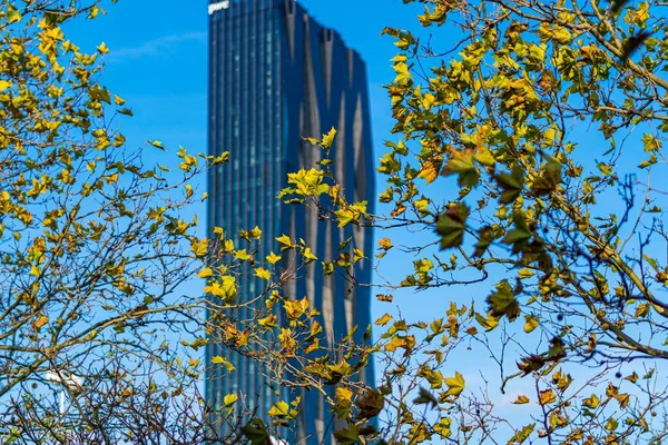 Tiro Ángulo Bajo Edificio Moderno Alto Detrás Las Ramas Árbol —  Fotos de Stock