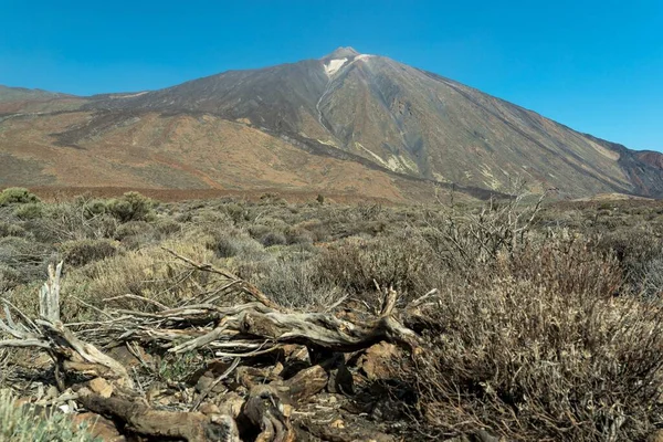 Vista Sul Paesaggio Del Parco Nazionale Tenerife Spagna — Foto Stock