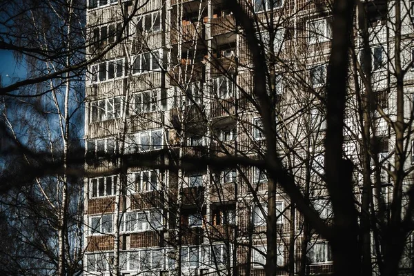 Foyer Doux Troncs Arbres Branches Avec Grands Immeubles Appartements Arrière — Photo