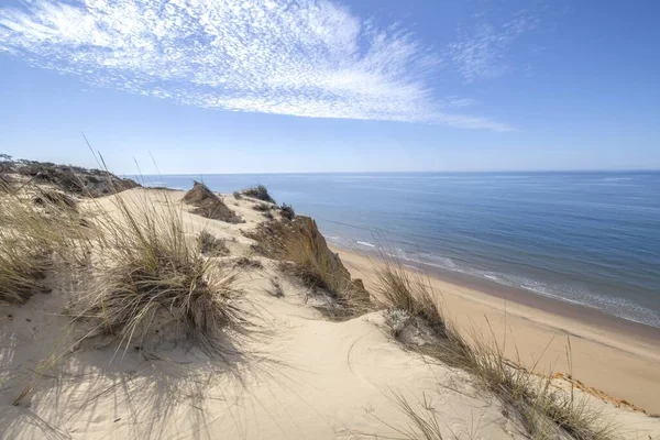 Ein Schöner Blick Auf Den Strand Mit Bewölktem Himmel Hintergrund — Stockfoto