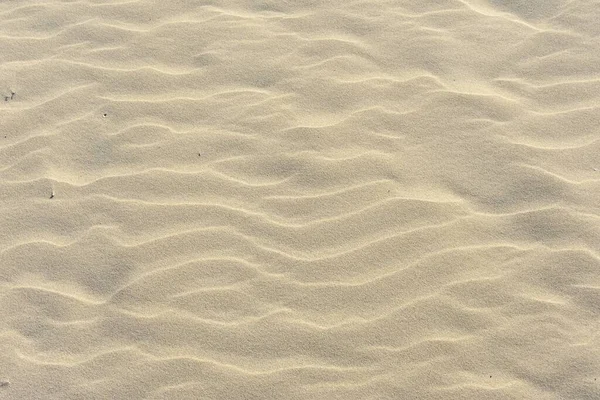 Eine Nahaufnahme Des Sandes Strand Bei Tageslicht — Stockfoto