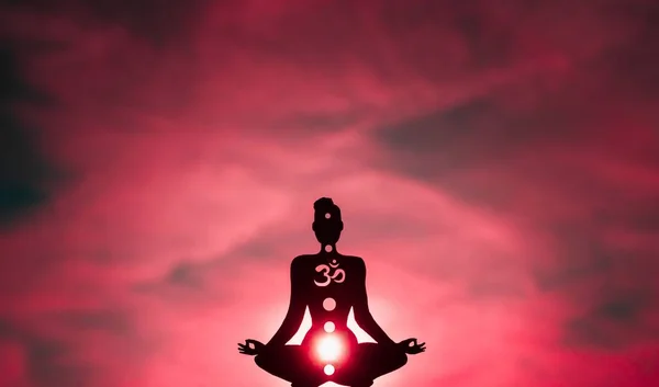 Illustration Figure Showing Chakras Color Pink Shows Root Chakra — Stock Photo, Image