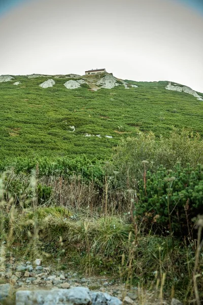 Slovenya Yeşilliklerle Kayalık Yüksek Bir Tepenin Alçak Açılı Çekimi — Stok fotoğraf