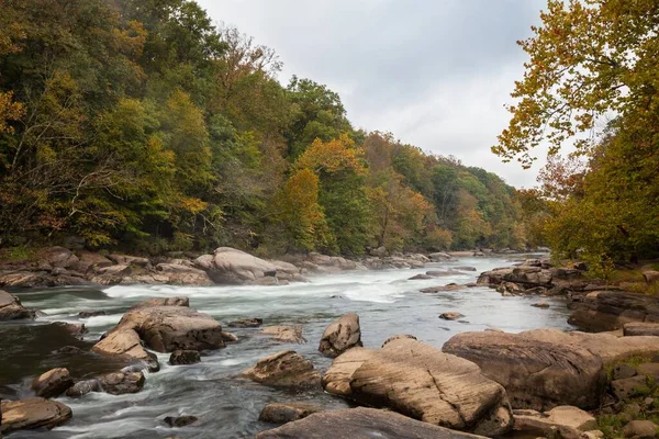 Tygart Valley River Omringd Door Bomen Bij Daglicht Het Valley — Stockfoto