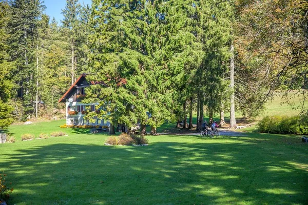 Grön Park Med Gräsmatta Och Människor Som Cyklar — Stockfoto