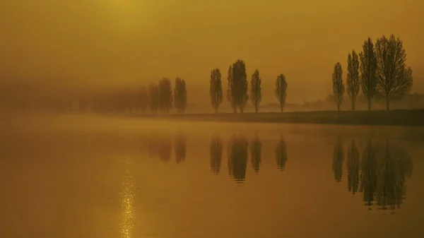 Una Hilera Árboles Reflejados Lago Durante Puesta Sol —  Fotos de Stock