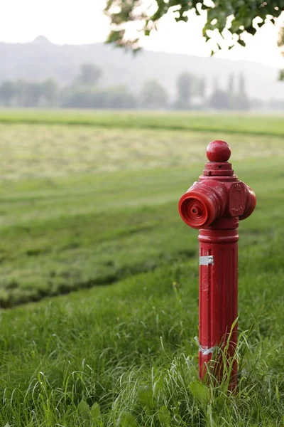 Parktaki Kırmızı Yangın Musluğunun Dikey Görüntüsü — Stok fotoğraf