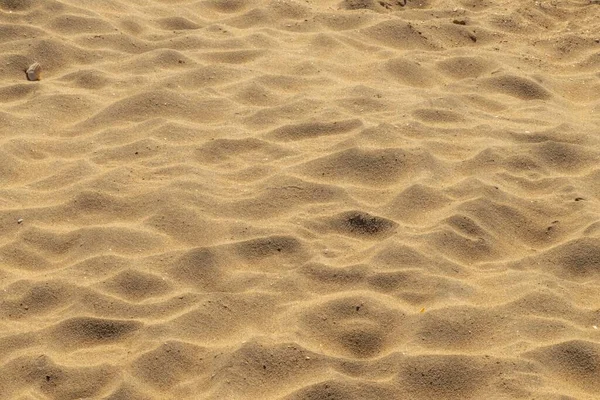 Closeup High Angle Shot Sandy Ground — Stock Photo, Image