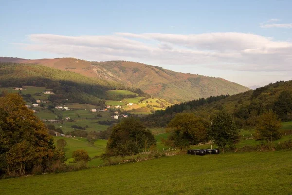 Een Prachtig Landschap Zomer Onder Blauwe Lucht — Stockfoto