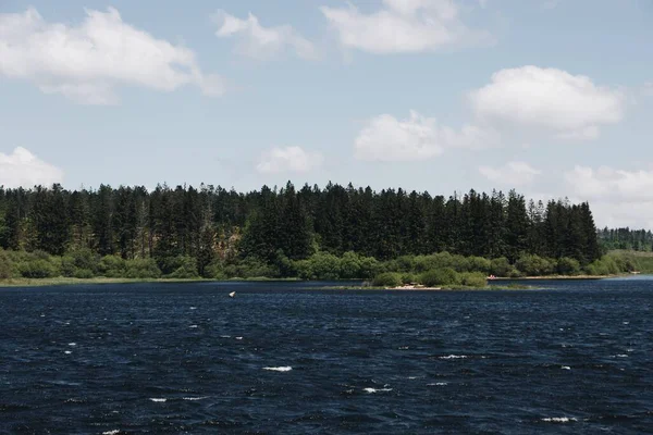 Vacker Utsikt Över Höga Träden Stranden Fångas Lugn Och Lugn — Stockfoto