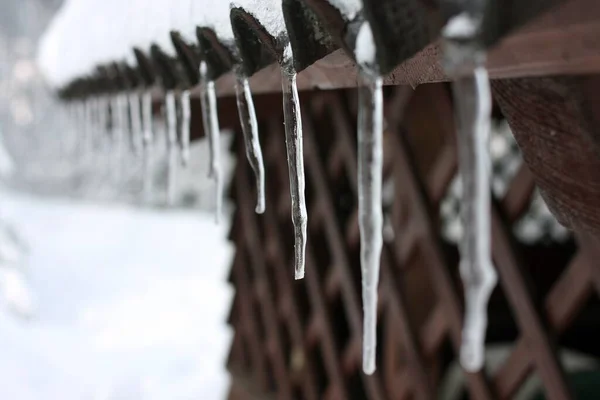 在寒冷的雪天拍摄的建筑物屋顶上的冰柱特写 — 图库照片