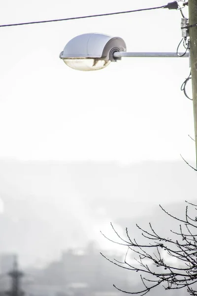 Eine Vertikale Nahaufnahme Einer Weißen Straßenlaterne Mit Ästen Vordergrund — Stockfoto