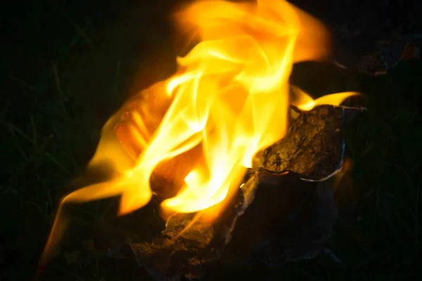 Een Close Shot Van Brandende Vlammen Nacht — Stockfoto