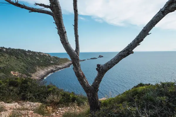 Dağın Tepesinden Güzel Bir Deniz Manzarası — Stok fotoğraf