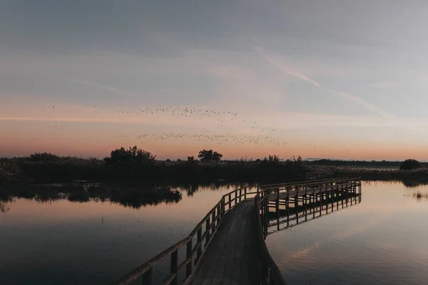 Tiro Close Uma Estreita Ponte Doca Acima Lago Pôr Sol — Fotografia de Stock