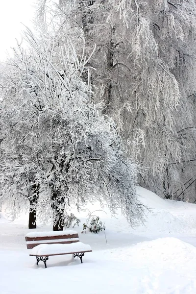Vertikal Bild Bänk Träden Den Snötäckta Marken Vacker Vinterdag — Stockfoto