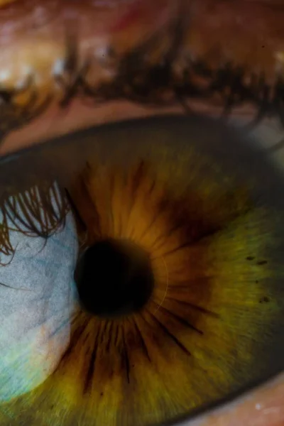 Een Macro Van Een Prachtige Betoverende Bruine Menselijke Oog Iris — Stockfoto