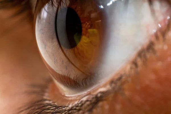 美しい茶色の人間の目の虹彩のマクロ — ストック写真