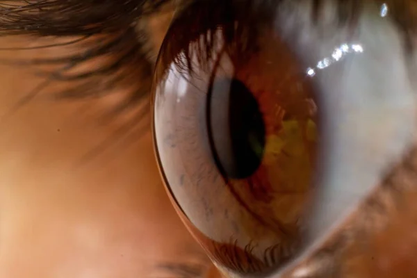 Ein Makro Einer Schönen Hypnotisierenden Braunen Iris Des Menschlichen Auges — Stockfoto