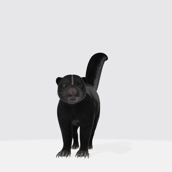 Eine Grafische Illustration Von Gerenderten Schwarzen Mungos Isoliert Auf Weißem — Stockfoto