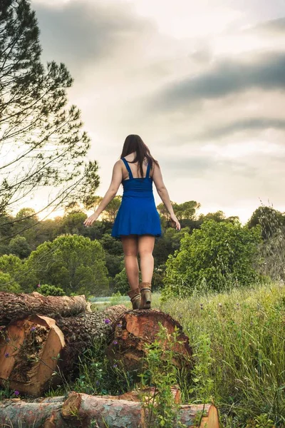 背景には丸太や森に青いドレスを着た女性が立っている — ストック写真
