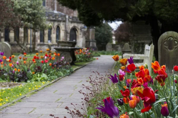 Engelsk Kyrkogård Gravstenar Omgivna Rikliga Blommor Intensiva Färger Kontrast Mellan — Stockfoto