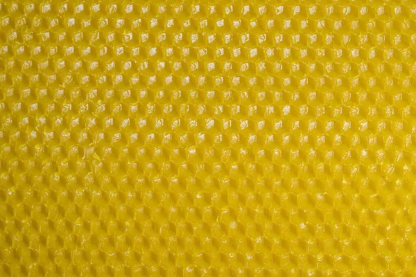 黄色の蜜蝋基礎シートのマクロショット — ストック写真
