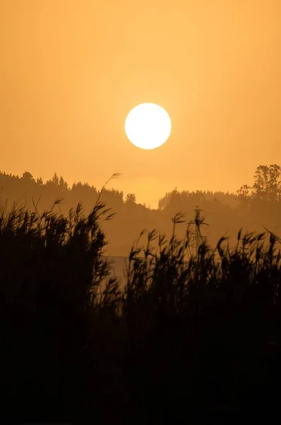 Colpo Verticale Campo Fieno Durante Bel Tramonto Perfetto Carta Parati — Foto Stock