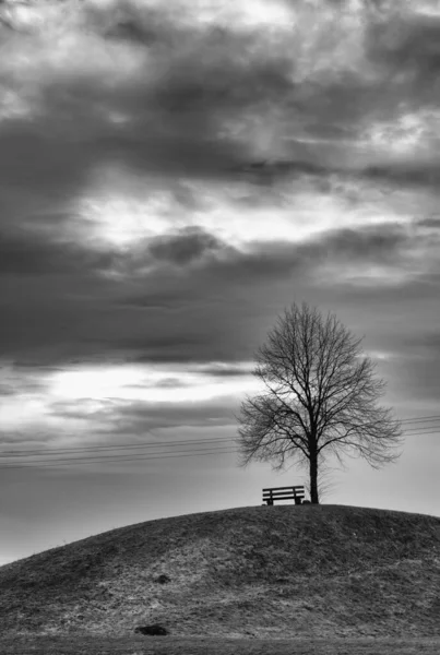 Vertical Greyscale Shot Empty Bench Tree Dark Sky Depression Concept — Stock Photo, Image