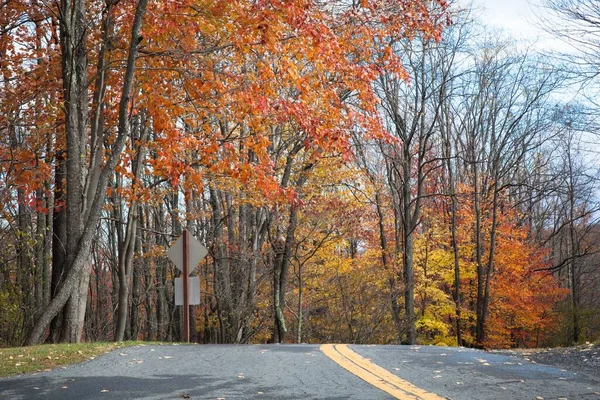 가을에 형형색색의 자연으로 둘러싸인 아름다운 시골길의 — 스톡 사진