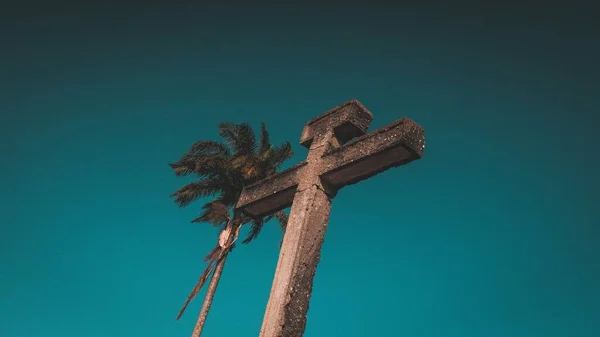 Tiro Ângulo Baixo Uma Estátua Cruz Uma Palmeira Sob Céu — Fotografia de Stock