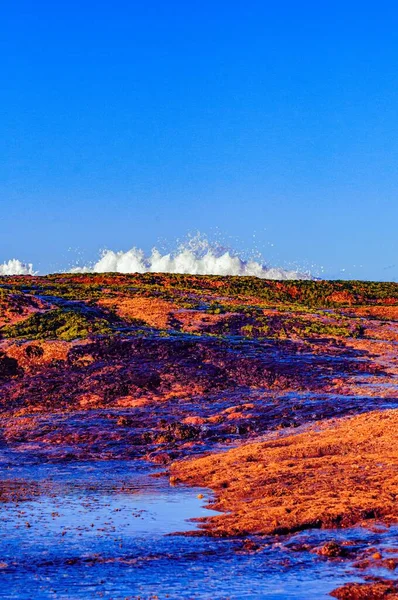 Een Verticaal Shot Van Mossige Kust Met Water Spatten Achtergrond — Stockfoto