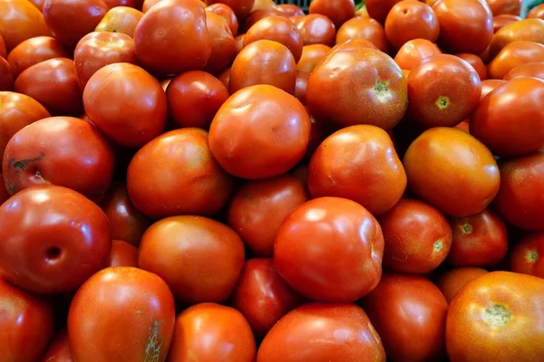 Primer Plano Tomates Mercado Bajo Las Luces Perfecto Para Conceptos —  Fotos de Stock