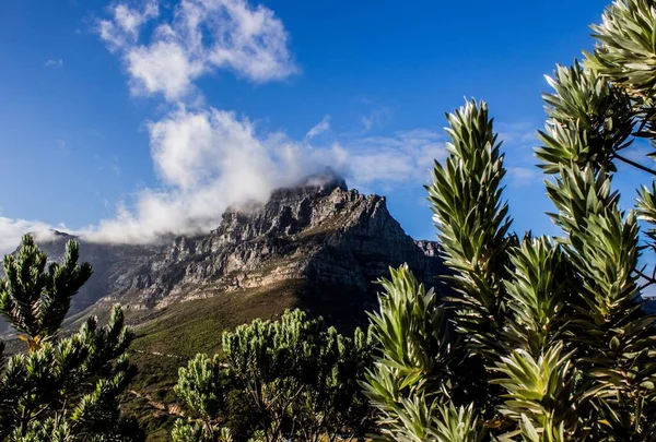 Scenic View Table Mountain National Park Cape Town Africa — Stock Photo, Image