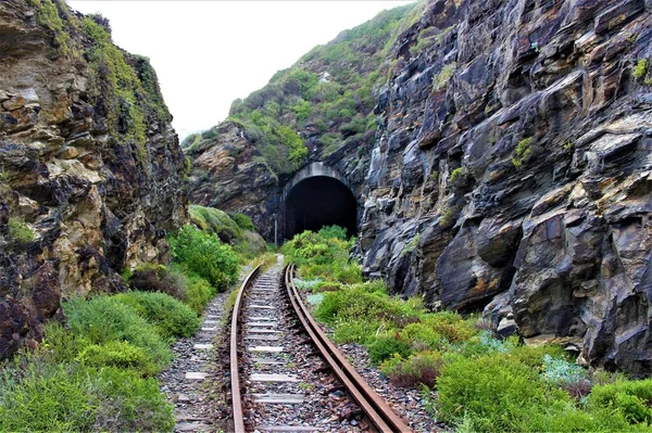 Живописный Вид Железную Дорогу Ведущую Тоннель Через Зеленые Скалы — стоковое фото
