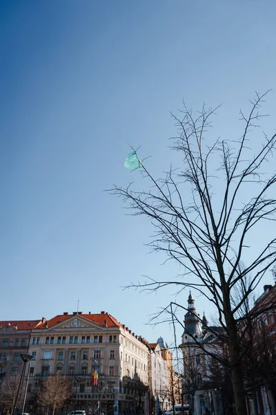Tiro Vertical Saco Plástico Uma Filial Árvore Lado Dos Edifícios — Fotografia de Stock