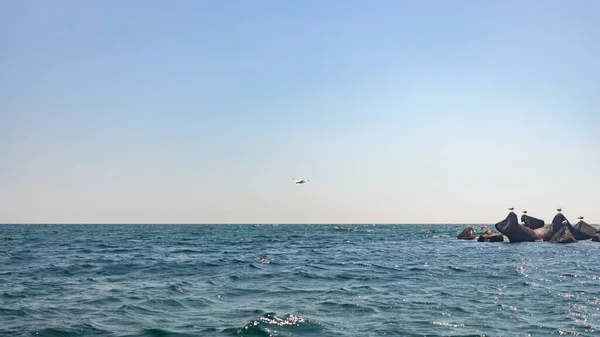 Eine Wunderschöne Landschaft Einer Möwenschar Auf Felsformationen Schwarzen Meer Rumänien — Stockfoto