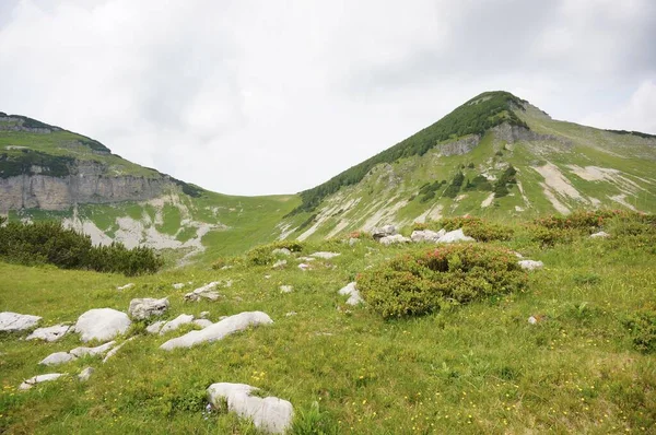 Ein Atemberaubendes Bild Der Ikonischen Alpen Österreich Einem Bewölkten Sommertag — Stockfoto