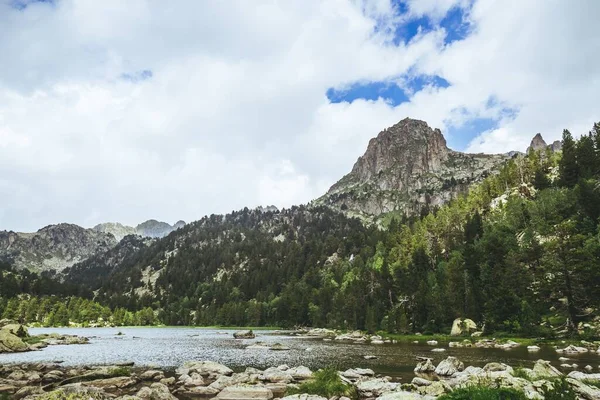 Hermosa Vista Del Arroyo Agua Rodeada Árboles Montañas —  Fotos de Stock