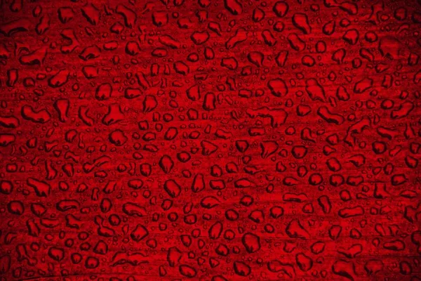Uma Ilustração Uma Superfície Vermelha Coberta Com Gotas Água Perfeito — Fotografia de Stock