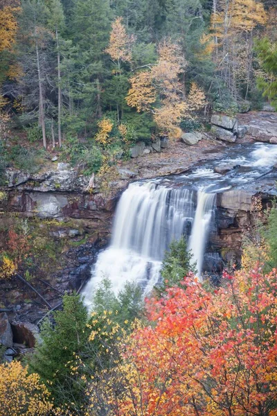 Den Ikoniska Blackwater Falls Höst Blackwater Falls State Park Tucker — Stockfoto