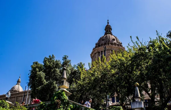 Tiro Edifício Histórico Visível Através Ramos Árvore — Fotografia de Stock