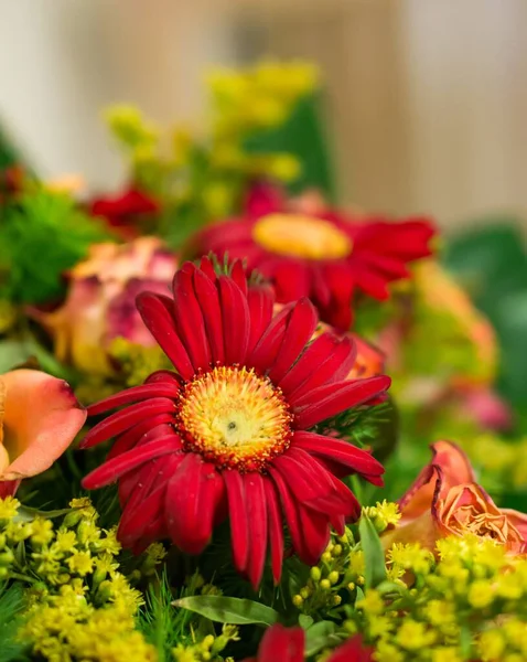 Close Belo Buquê Com Flores Coloridas — Fotografia de Stock