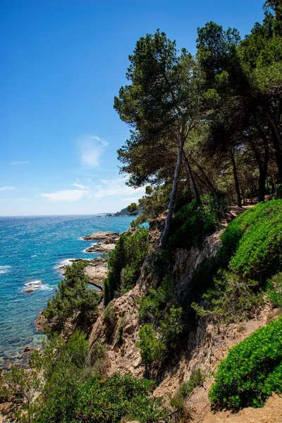 Μεσόγειος Θάλασσα Και Γκρεμός Στην Costa Brava — Φωτογραφία Αρχείου