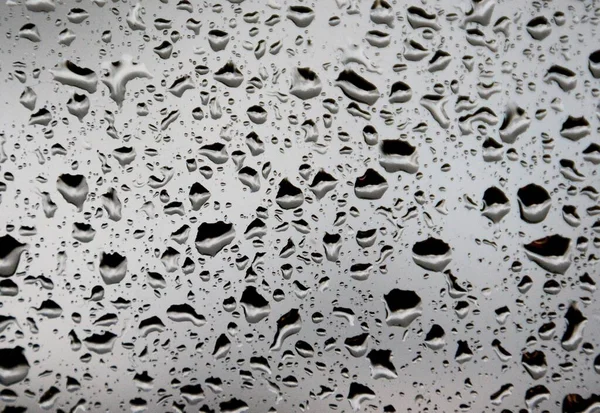 Wybiórcze Ujęcie Kropel Wody Oknie Szarym Tłem — Zdjęcie stockowe