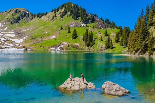 Montagne Gli Alberi Svizzera Circondati Dal Lago Lac Lioson — Foto Stock