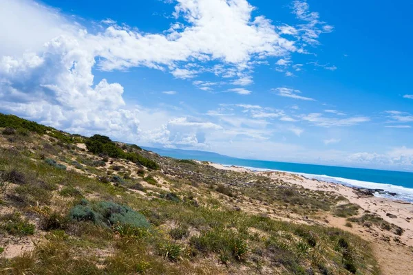 Uma Paisagem Uma Praia Areia Cheia Arbustos Céu Nublado Horizonte — Fotografia de Stock