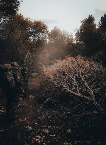 Ormandaki Iki Askerin Dikey Çekimi — Stok fotoğraf